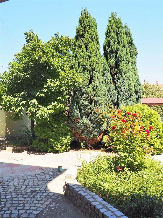 Guest House Stefanovic Βράνιε Εξωτερικό φωτογραφία